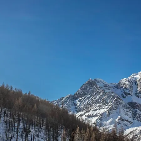 Whispering Pines Mountain View With Ski-in Access ブレウイル・チェルヴィナイア