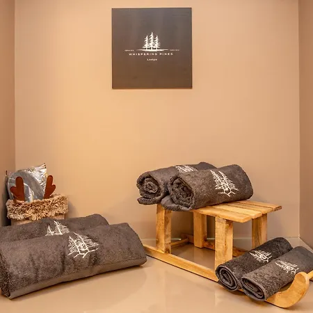 Whispering Pines Mountain View With Ski-in Access * Breuil-Cervinia